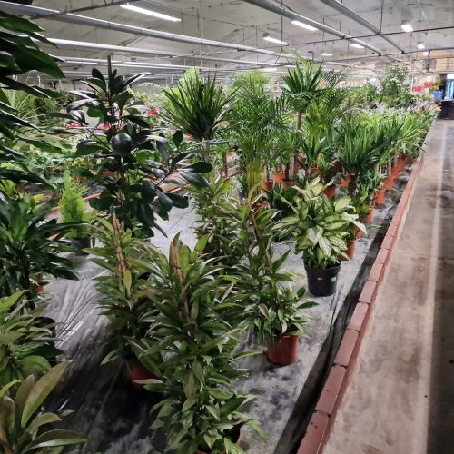 20240102_174352 20240102_174352