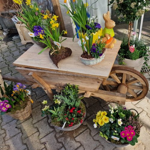 20240302_094141 20240302_094141